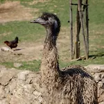 Villany Outback Casă la țară