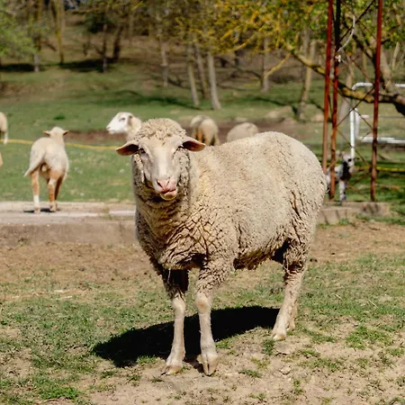 Casă la țară Villany Outback