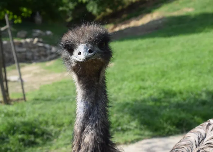 Villany Outback Kisjakabfalva