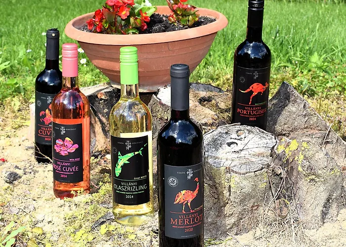 Villany Outback * Kisjakabfalva